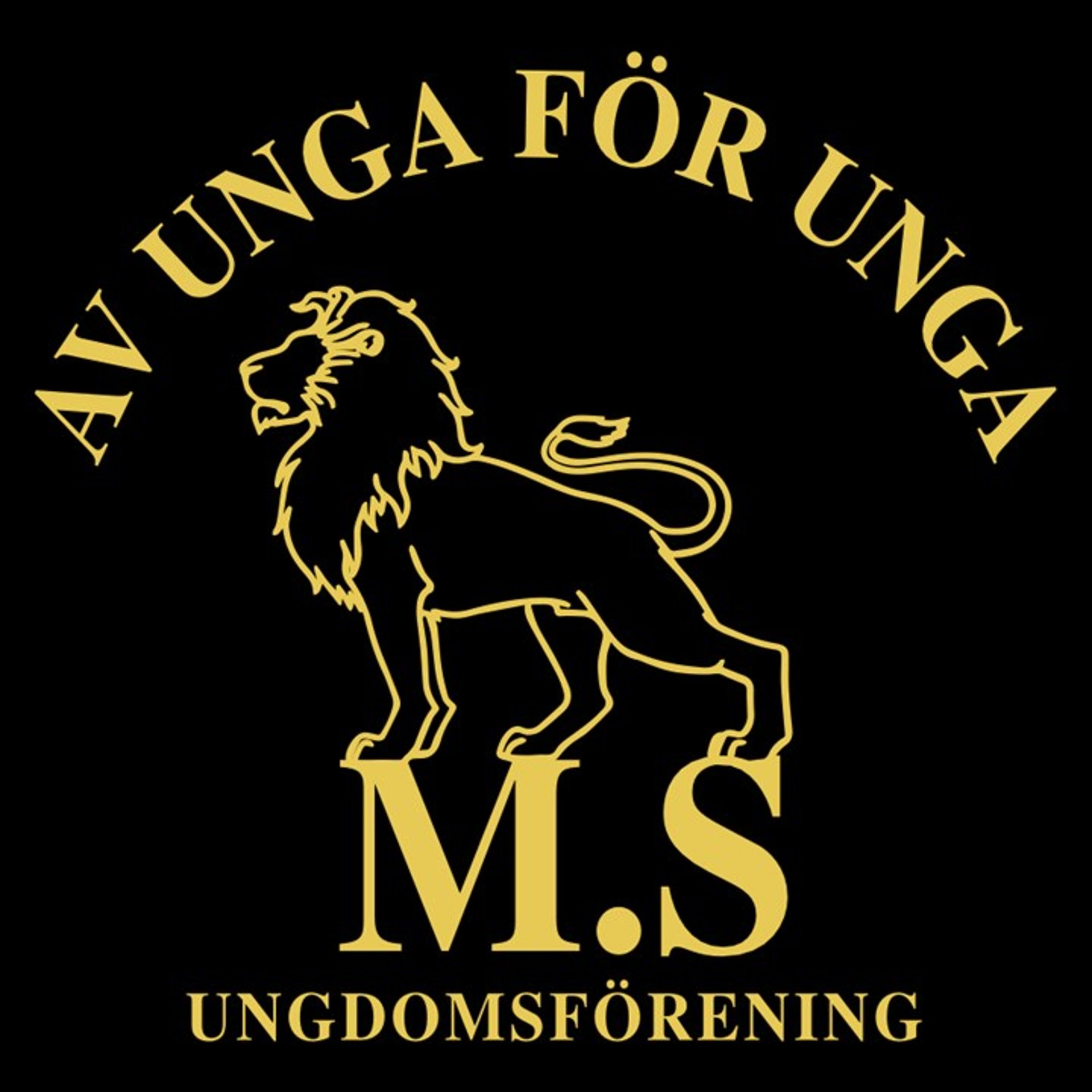 Bild till verksamhet: M.S ungdomsförening 0