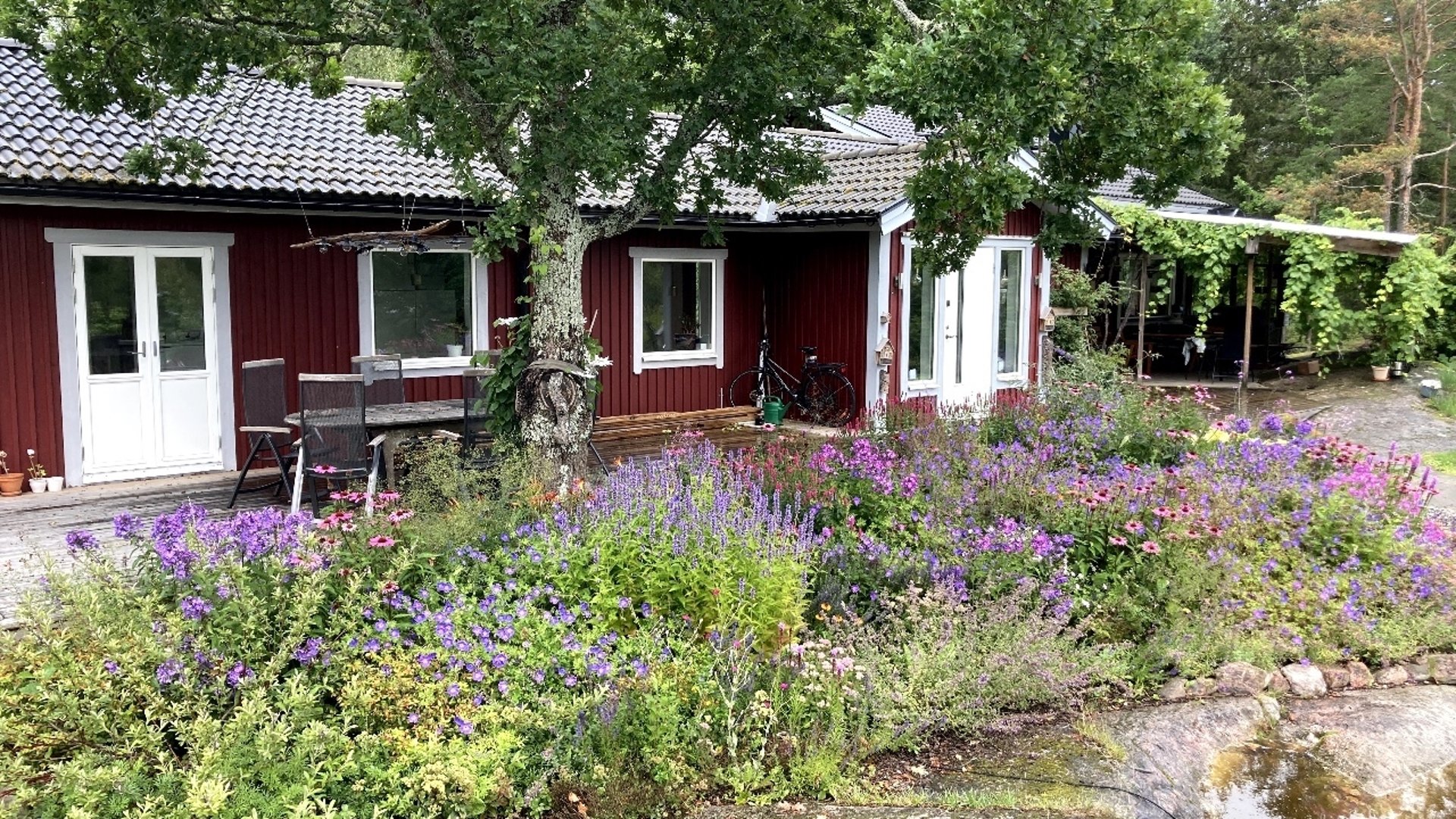 Bild till verksamhet: Bigården Enebacken