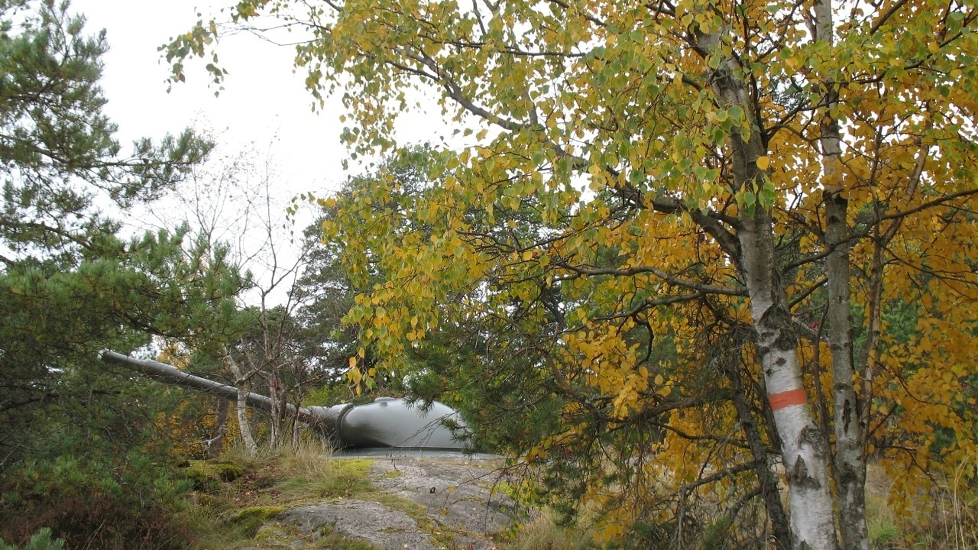 foto Per Rödseth