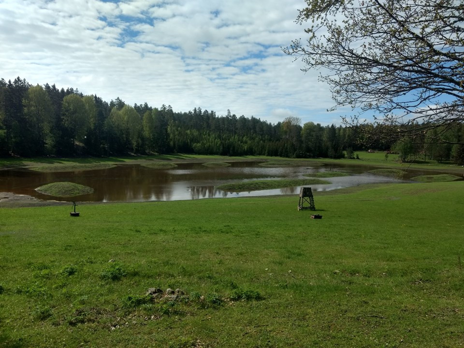 naturbild