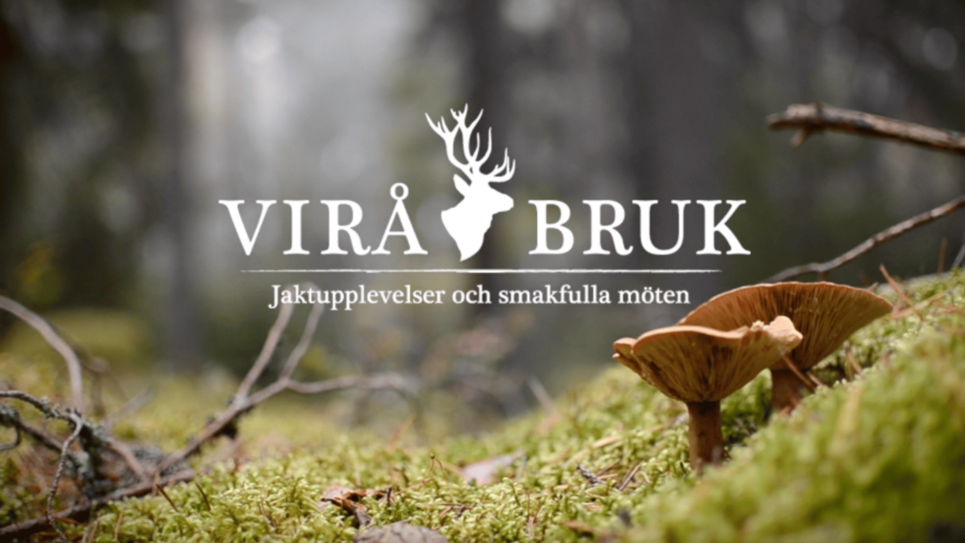 Svamp i skogen och text vriå bruk jaktupplevelser och smakfulla möten
