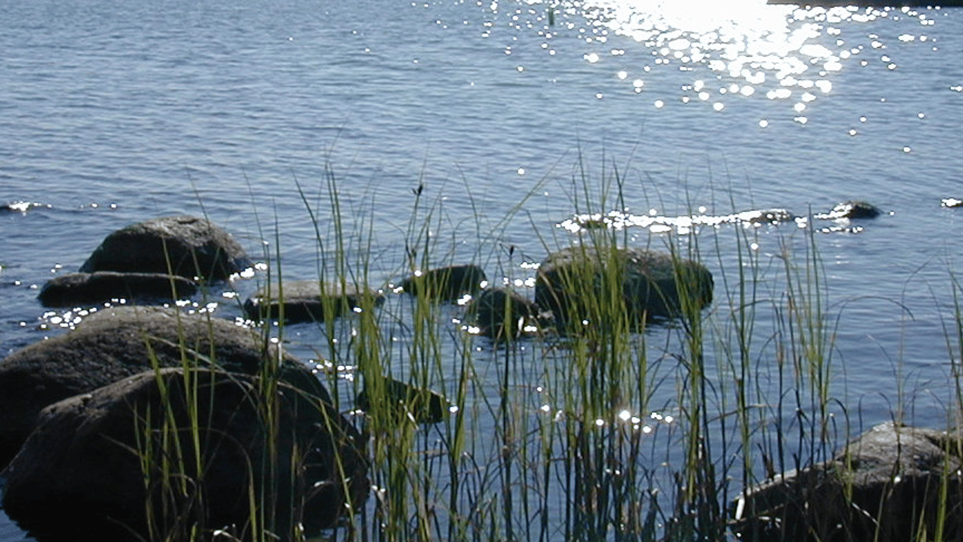 Oxelösunds skärgård