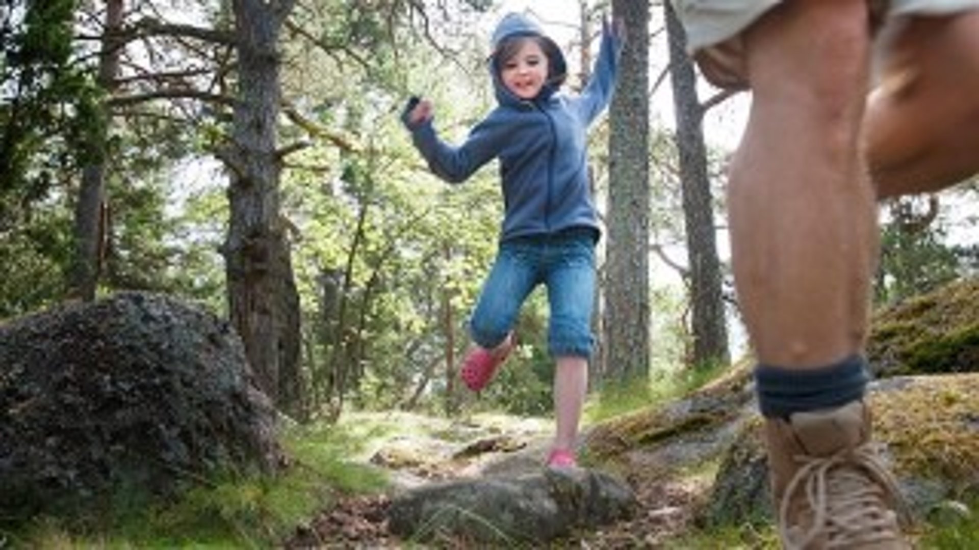 Barn som vandrar i skogen