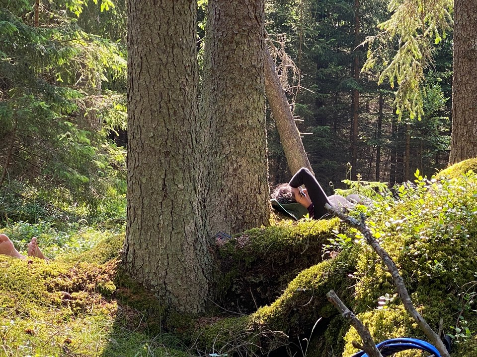Bild till verksamhet: Better Hike Skogsbad för välbefinnande0