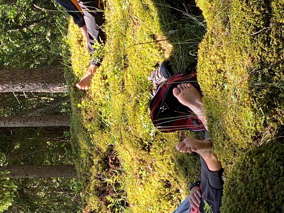 Bild till verksamhet: Better hike 1