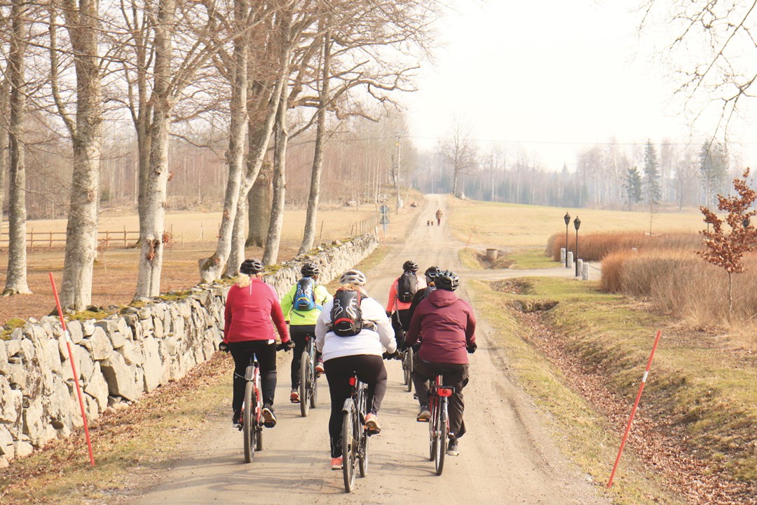 Människor som cyklar på en landsväg