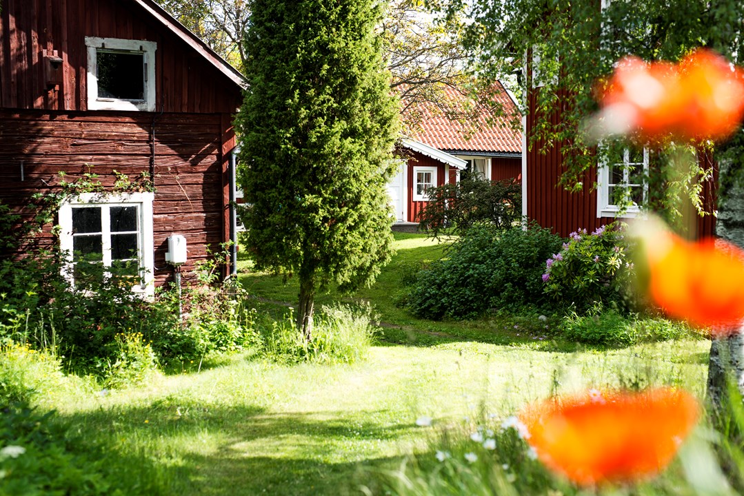 Bild till verksamhet: Sävö gårdscafé0
