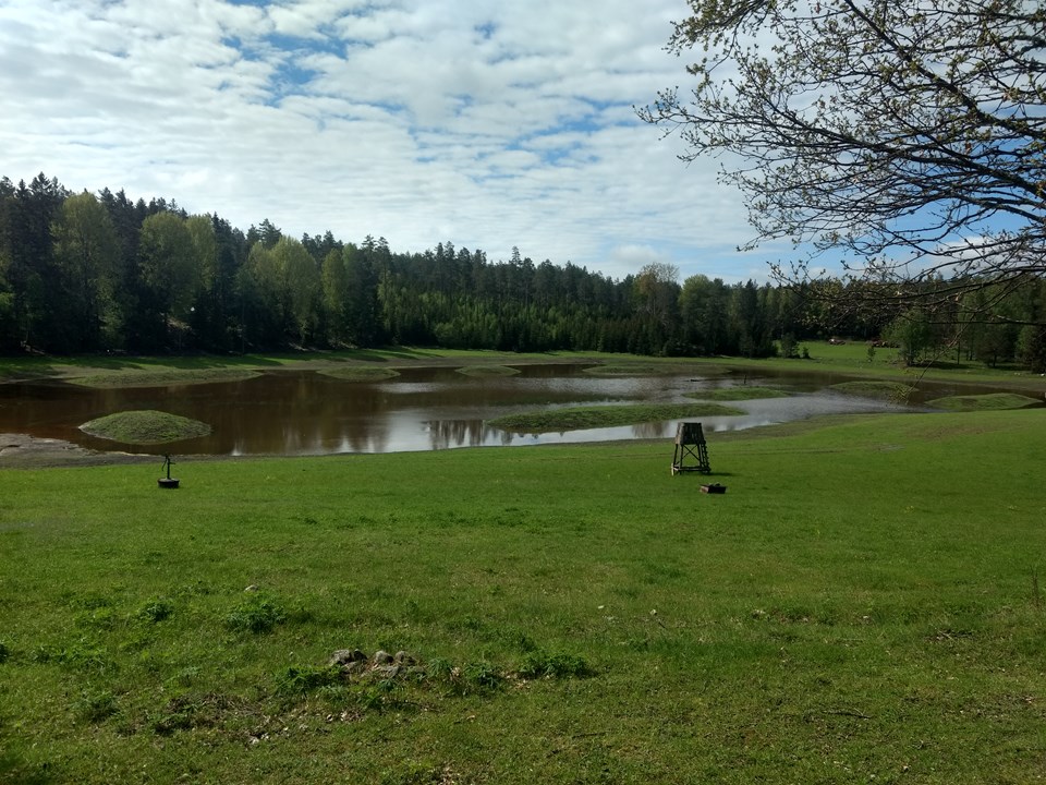naturbild