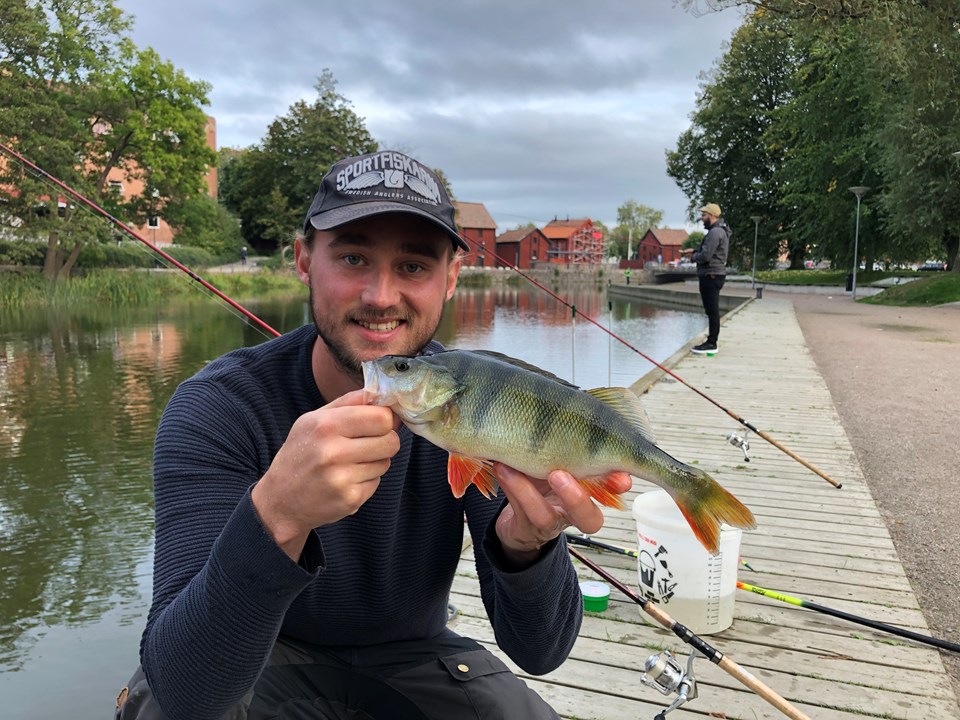 Bild till verksamhet: Fiske i Nyköpingsån0