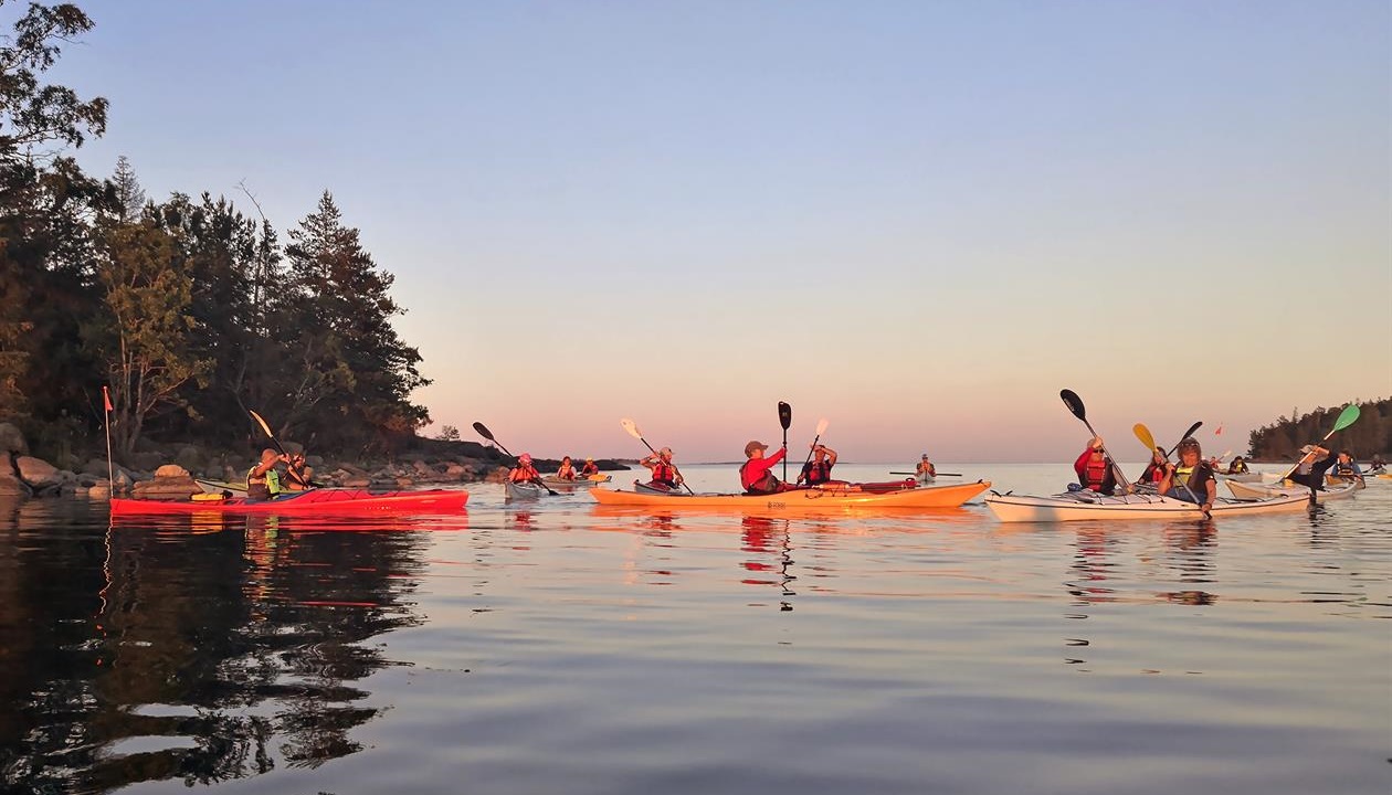 Illustrationsbild för Paddling